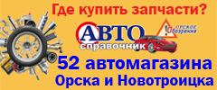 autocervisy 240х100